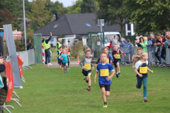 Herbstlauf0176