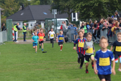 Herbstlauf0177