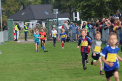 Herbstlauf0178