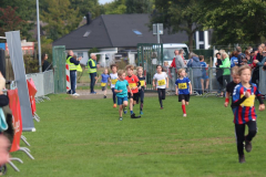 Herbstlauf0179