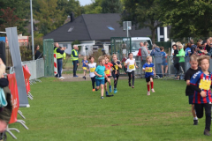 Herbstlauf0180