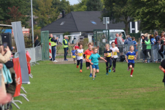 Herbstlauf0181