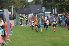 Herbstlauf0182