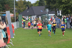 Herbstlauf0183
