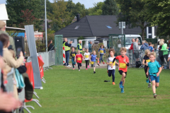 Herbstlauf0184