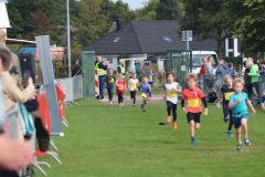 Herbstlauf0185