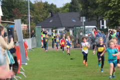 Herbstlauf0186