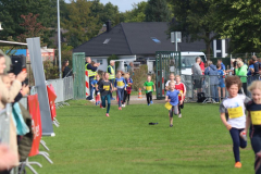 Herbstlauf0188