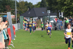 Herbstlauf0190