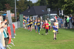 Herbstlauf0191