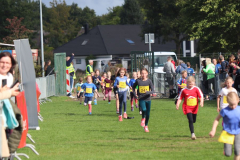 Herbstlauf0192