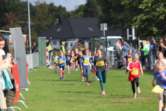 Herbstlauf0193