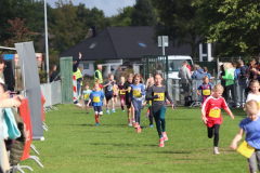 Herbstlauf0194