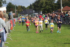 Herbstlauf0198