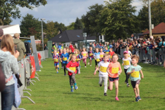 Herbstlauf0201