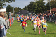 Herbstlauf0202