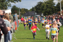 Herbstlauf0204