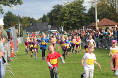 Herbstlauf0205
