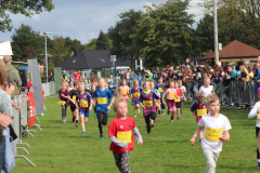 Herbstlauf0206