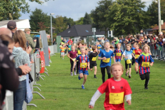 Herbstlauf0208