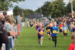Herbstlauf0209