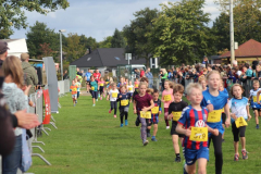 Herbstlauf0211