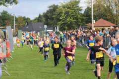 Herbstlauf0213
