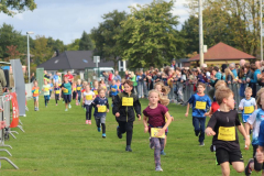 Herbstlauf0214