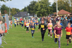 Herbstlauf0215