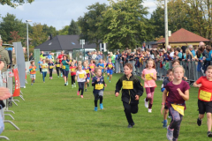 Herbstlauf0216