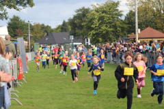 Herbstlauf0217