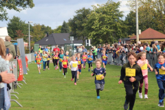 Herbstlauf0218