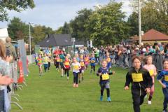 Herbstlauf0219