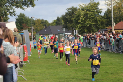 Herbstlauf0221