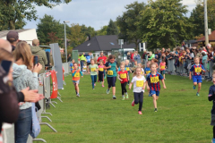 Herbstlauf0223