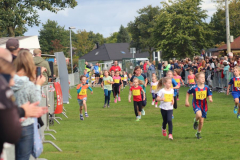 Herbstlauf0224