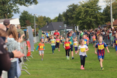 Herbstlauf0225