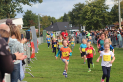 Herbstlauf0229