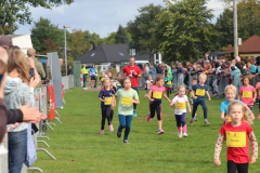 Herbstlauf0235