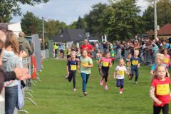 Herbstlauf0236