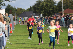 Herbstlauf0242