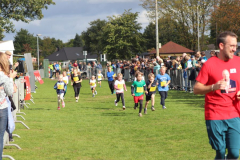 Herbstlauf0254