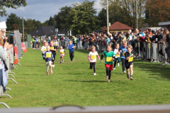 Herbstlauf0257