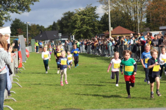 Herbstlauf0259