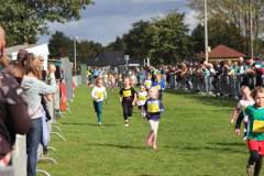 Herbstlauf0261