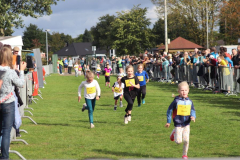 Herbstlauf0264