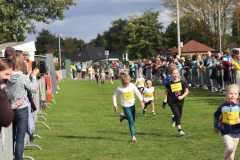Herbstlauf0265