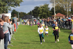 Herbstlauf0266