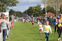 Herbstlauf0267