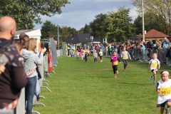 Herbstlauf0275